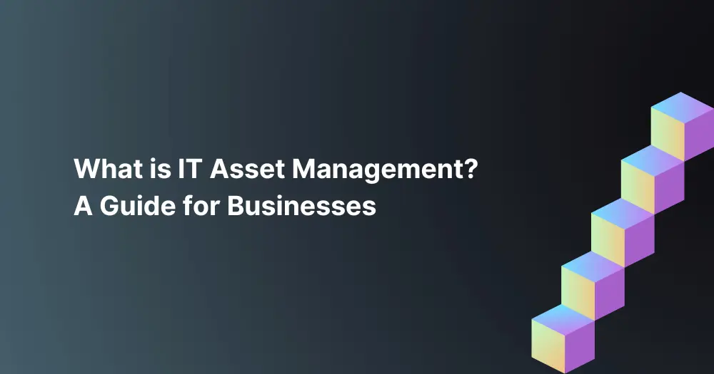 What-is-IT-Asset-Management-A-Guide-for-Businesses.